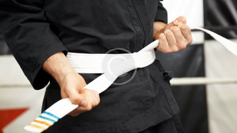Karate belt system and acknowledgements