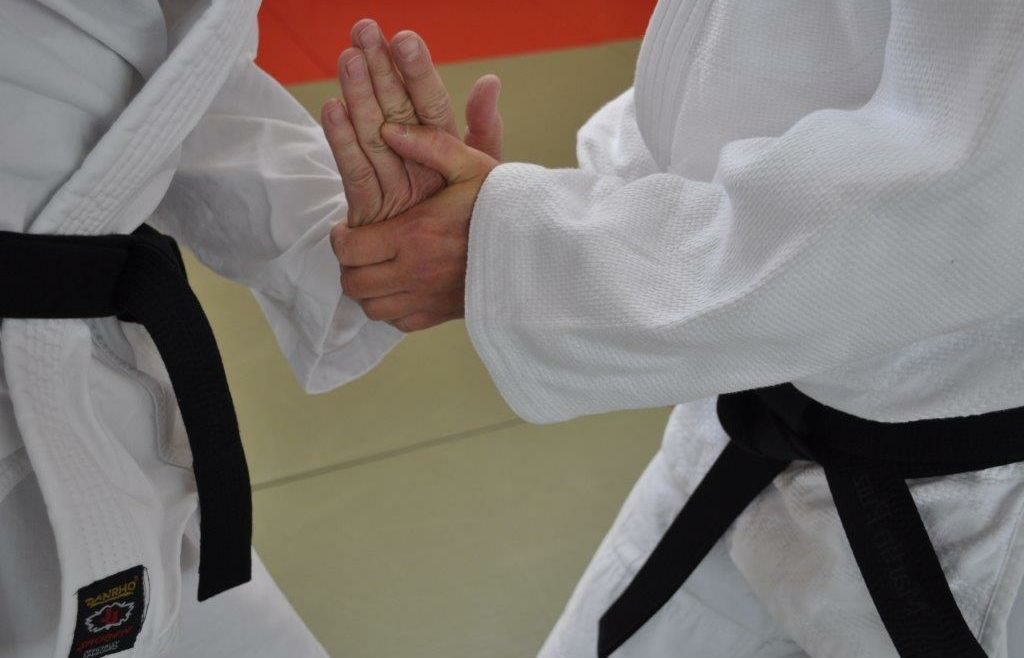 Erfolgreicher Landeslehrgang Aikido & BJJ