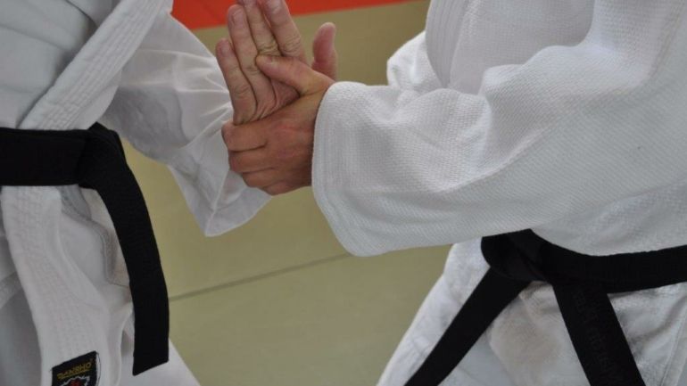Erfolgreicher Landeslehrgang Aikido & BJJ
